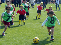 すみれ幼稚園 サッカークラブイメージ